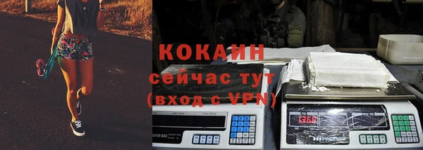 молекула духа Алексин