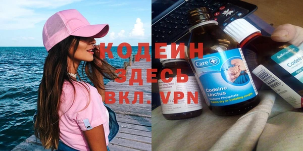 молекула духа Алексин