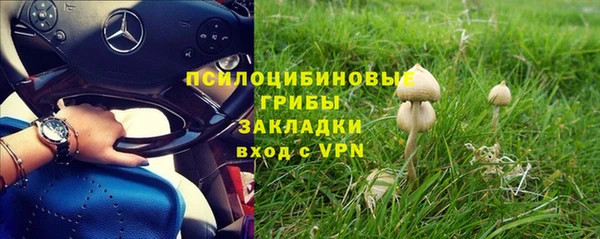 герыч Магас