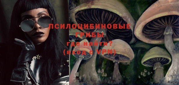 молекула духа Алексин